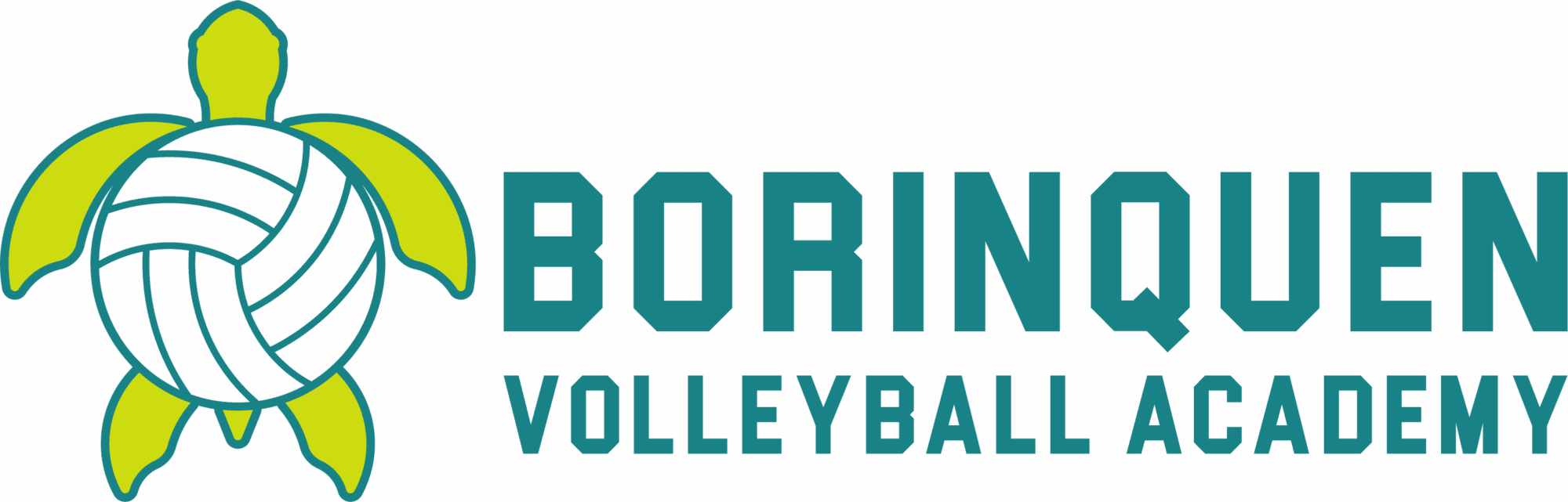 Borinquen Volleyball Academy_Logo Variation 3